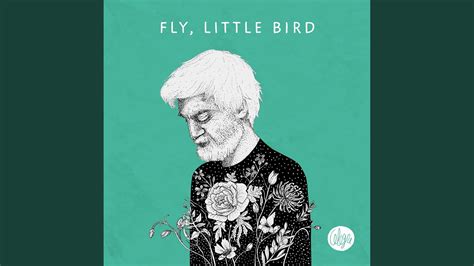 Fly Little Bird Youtube