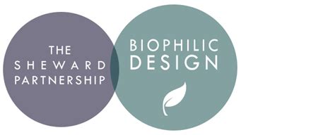How To Incorporate Biophilic Design Into Your Next Project The