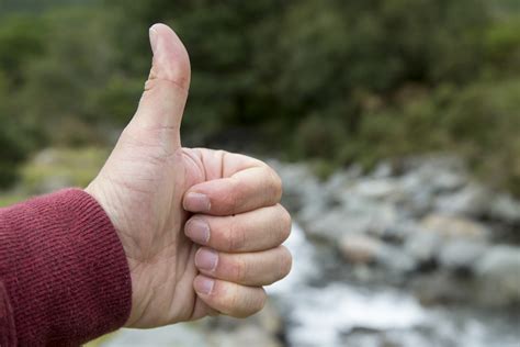 Hand Showing A Thumb Up Sign Free Stock Photo Public Domain Pictures