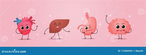 Funny Anatomical Mascot Heart Liver Stomach Brain Characters Cute Human
