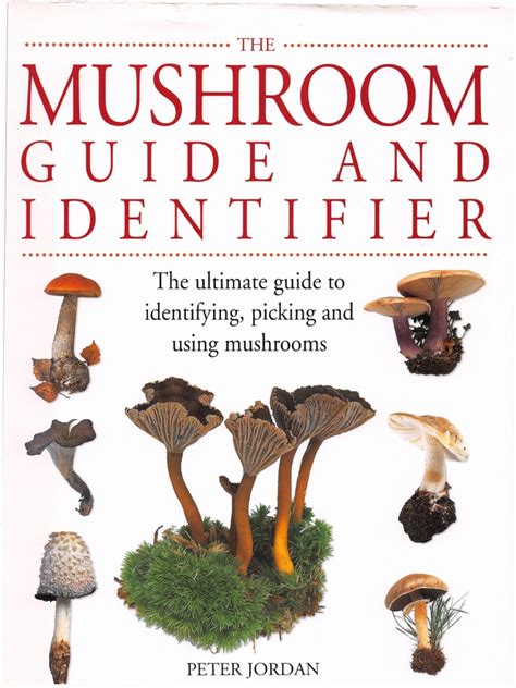 The Mushroom Guide And Identifier Mushroom Edible Fungi