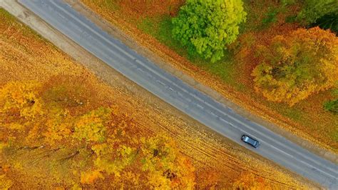 Top View Autumn Road Cars City Road On Stock Footage Sbv 317710569