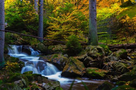 Free Photo Timelapse Photography Of Falls Near Trees Background