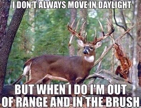 Outdoorsman Path Added A New Photo Outdoorsman Path Deer Hunting