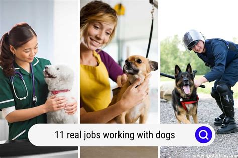 What Jobs Can I Do Working With Dogs