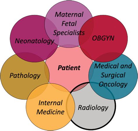 Imaging Cancer In Pregnancy Radiographics Hot Sex Picture