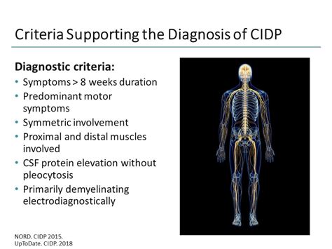 Expert Perspectives In The Clinical Management Of Cidp Transcript