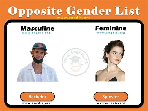 A To Z Opposite Gender Of Animals And Humans Engdic