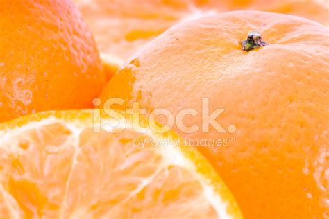 Freshly Sliced Oranges Stock Photo Royalty Free Freeimages