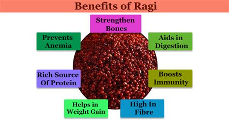 Benefits Of Ragi As A Superfood For Your Baby Nutrition And Health Advantage