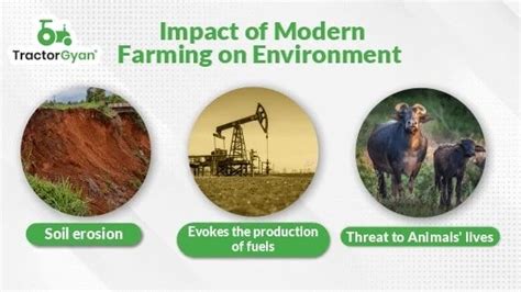 Top 5 Differences Between Traditional Farming And Modern Farming