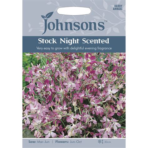 Pack Of Night Scented Stock Flower Seeds