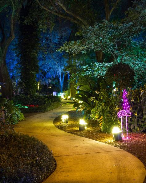 Garden Of Lights Heathcote Botanical Gardens