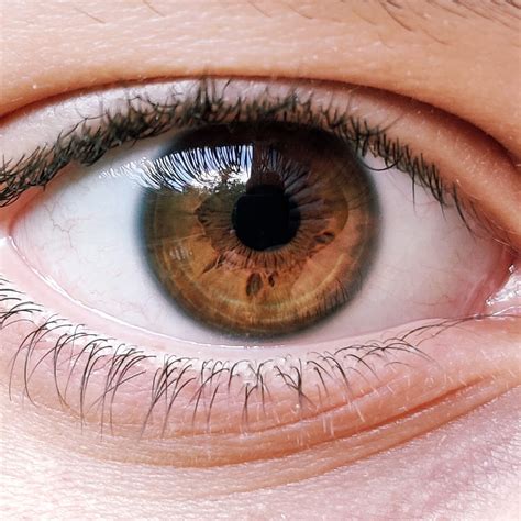 Contact Lenses in Fort Worth | VC Vision Optical