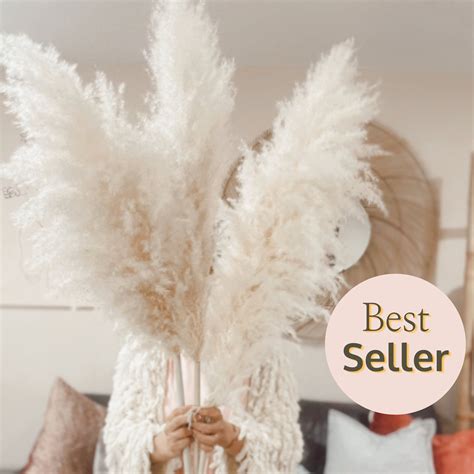 This Listing Is For Our Best Selling 4ft Tall Pampas Grass Everlasting