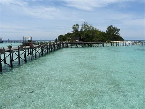 Lankayan Island Sandakan 2020 All You Need To Know Before You Go