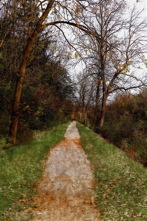 Lonely Path Photograph By David Stasiak Fine Art America