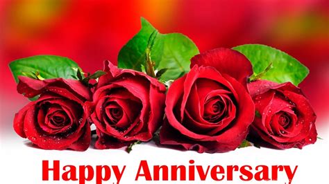 Happy Anniversary Red Roses Wallpapers Desktop Background