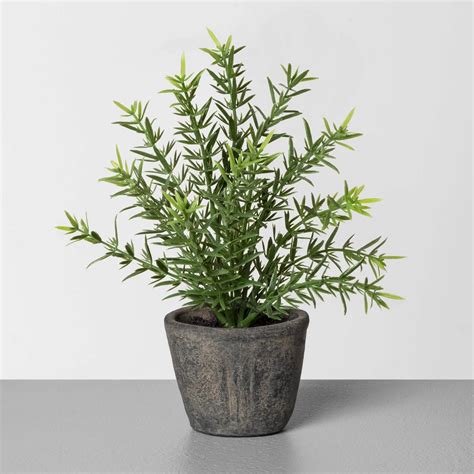 Faux Rosemary Potted Plant See Targets New Hearth And Hand Fall