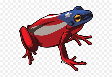 Coqui Frog Puerto Rico Flag Hd Png Download Vhv