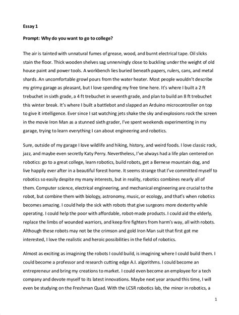26 outstanding college essay examples example of a college essay about yourself