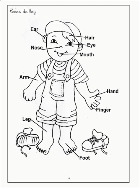 body parts coloring pages  kids coloring home