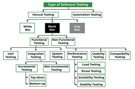 What Is Software Testing Geeksforgeeks