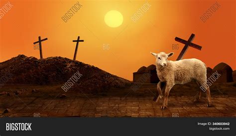 Jesus Lamb God Image And Photo Free Trial Bigstock