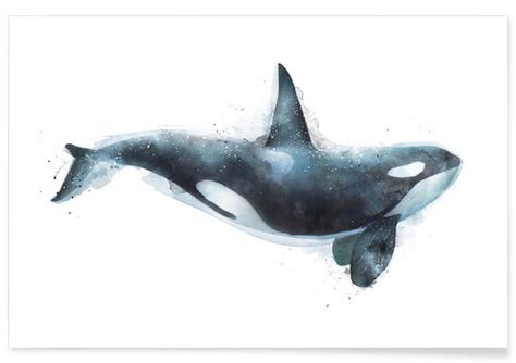 Orca Illustration Poster Juniqe