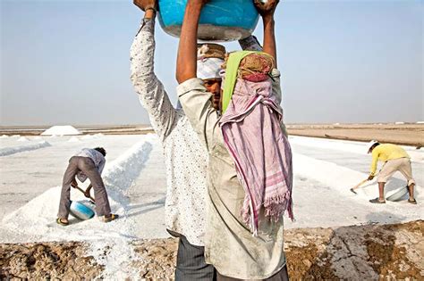Indias Salt Harvesters Toil For Crystals Under The Baking Sun New