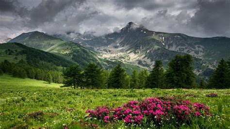 Meadow Mountains Wallpapers Wallpaper Cave