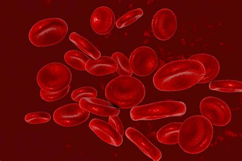 Kadar hemoglobin rendah pada saat proses persalinan tentunya akan menimbulkan beberapa bahaya yang oleh karena itu, makanan penambah darah baik yang bisa membantu menambah kadar hemoglobin dalam tubuh ibu hamil harus selalu di konsumsi. HB Normal Ibu Hamil Berdasarkan Usia Kandungan - Toko Fins