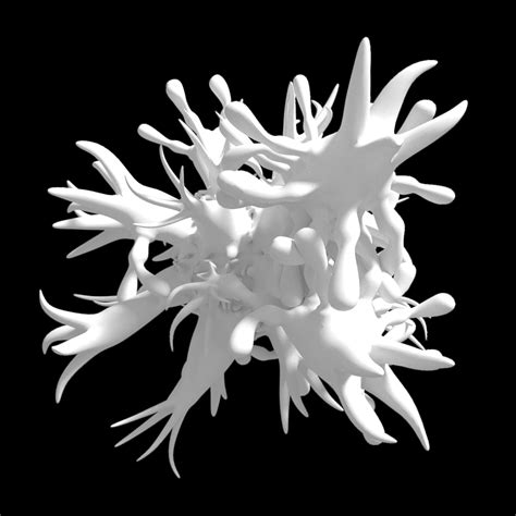 Generative Modeling Project Update Some