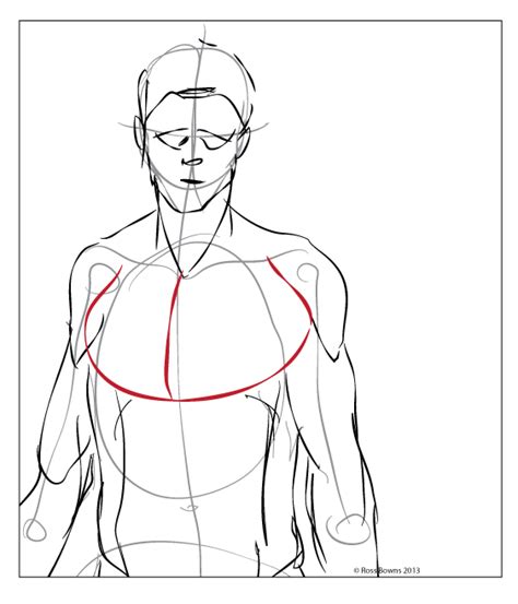 How to draw chest and arm muscles. Paint Draw Paint, Learn to Draw: Anatomy Basics: The chest ...