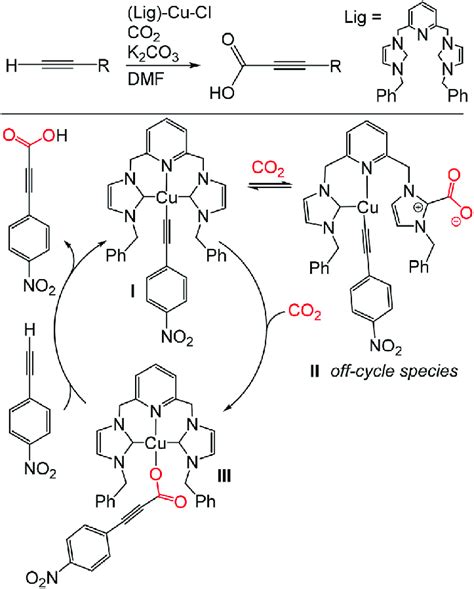 Proposed Mechanism For Copper Catalyzed C H Bond Activation And