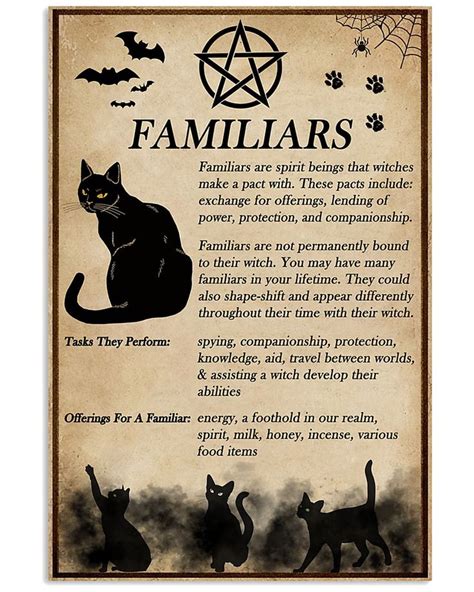 Familiar Spirit Black Cat Witch Witches Familiar Witch Witch Spell Book