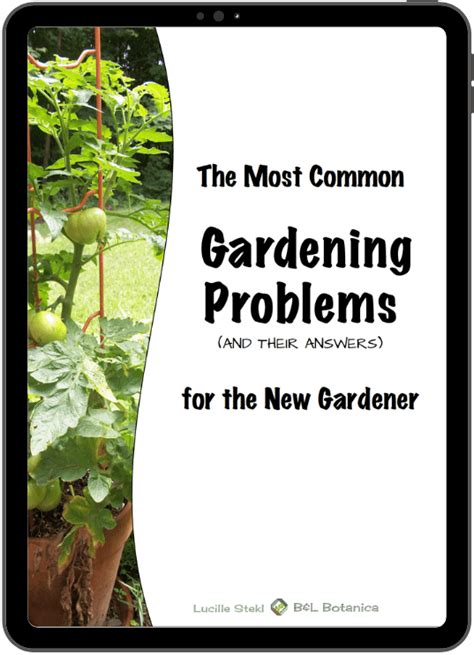 Common Gardening Problems And Their Answers Life Well Inspired