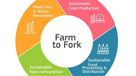 The Farm To Fork Strategy And Eu Organic Action Plan Organic Cities