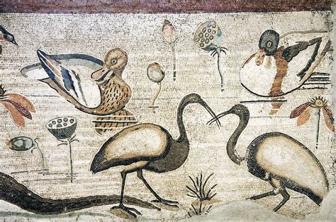 Nile Flora And Fauna Roman Mosaic By Sheila Terry Roman Mosaic