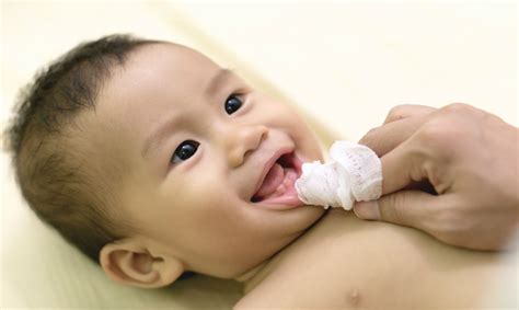 Higiene Bucal Do Bebê Saiba Como E Quando Fazer Mamãe And Cia