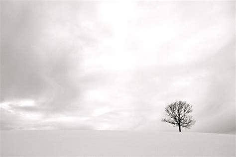 Items Similar To Winter Landscape Photography Negative Space