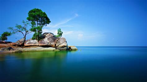 Rock Trees Sea Nature Alone Landscape Wallpapers Hd