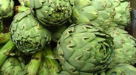 Growing Artichokes In Containers Pots Information Agri Farming