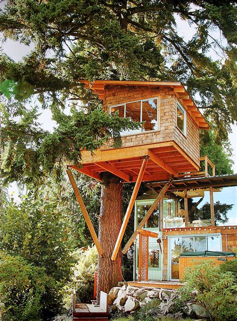 The Coolest Tree Houses Ever Musely