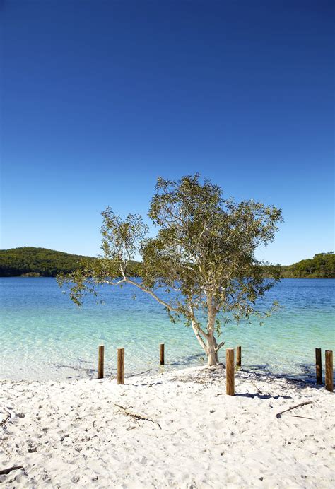 Fraser Island Travel Queensland Australia Lonely Planet