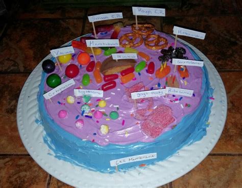 Edible 3 D Animal Cell Model Animal Cell Project Cells