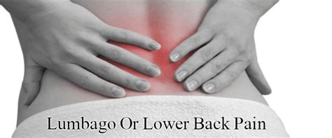Understanding Lumbago Or Lower Back Pain Chiropractor San Diego Dr
