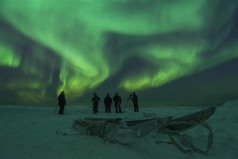 Arctic Bucket List Experience Polar Bears And Northern Lights