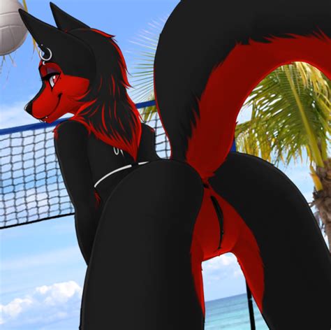 20 Wolf Beach Zoe Wolfs Foxes And Furry Tails Furries Pictures