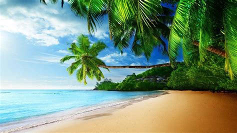 1920x1080 Tropical Beach Desktop Wallpaper Tropical Pictures Nature